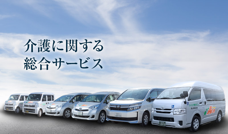 公式 静岡市清水区 介護タクシーを中心とした デイサービス 介護プランなどの総合サービス